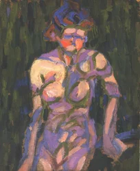 Menina nua com sombra de ramo